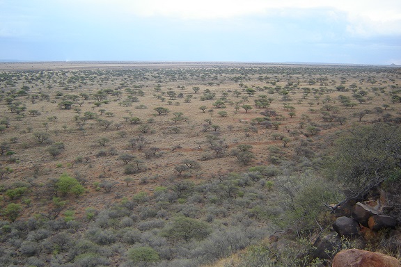 Landschap van Magersfontein